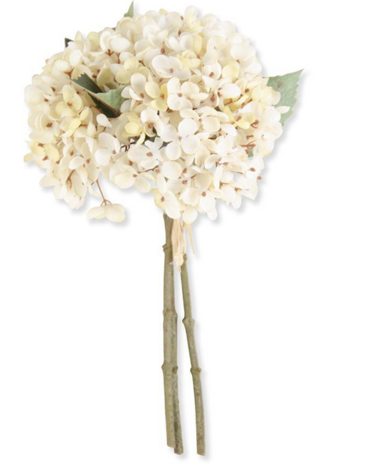 13 Inch Cream Two Tone Hydrangea Bundle (3 Stems)