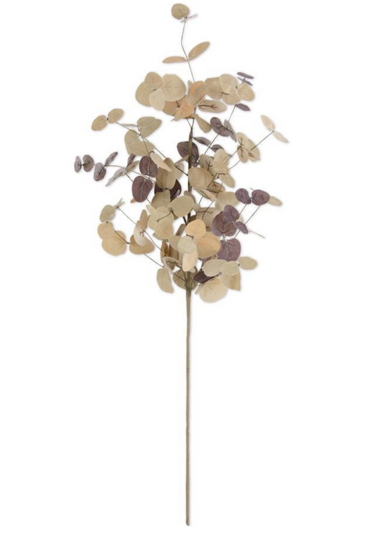 36 Inch Tan Two-Tone Eucalyptus Stem