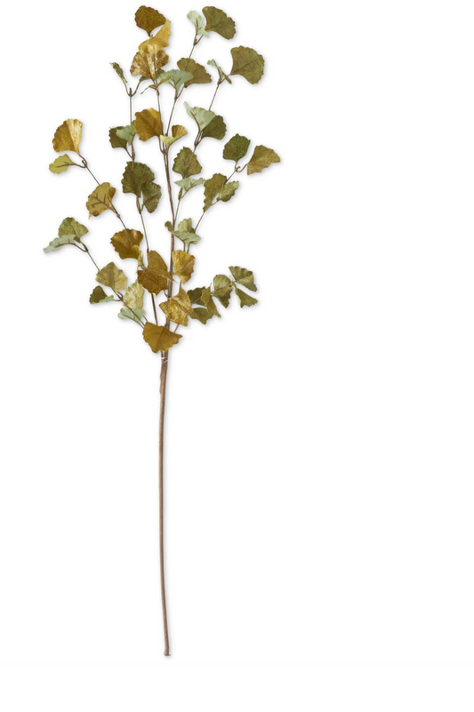 36 Inch Green & Yellow Gingko Leaf Stem