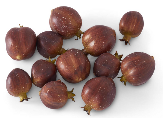 Bag of 12 2.75" Burgundy & Green Brown w/Cream Speckled Pomegranates