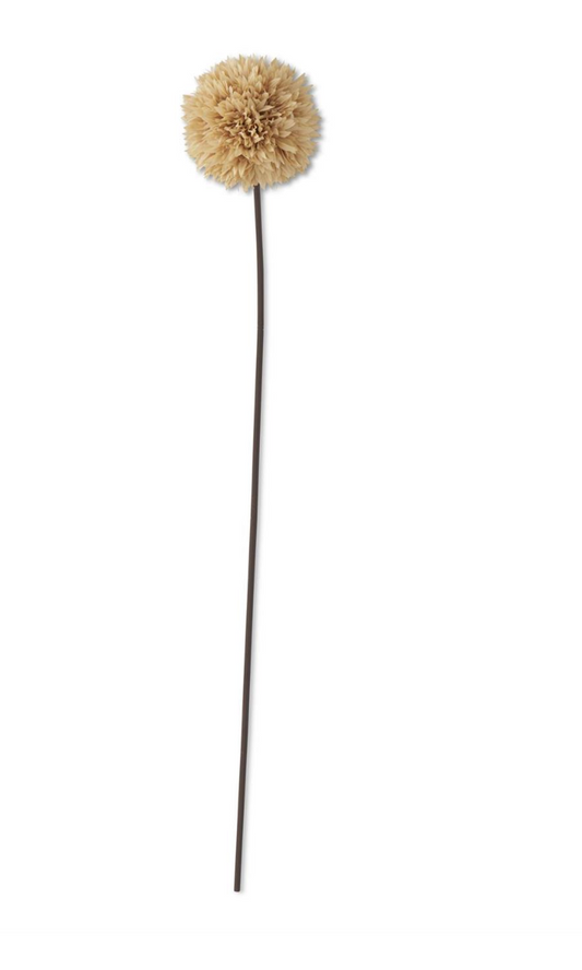 26" Tan Allium Stem