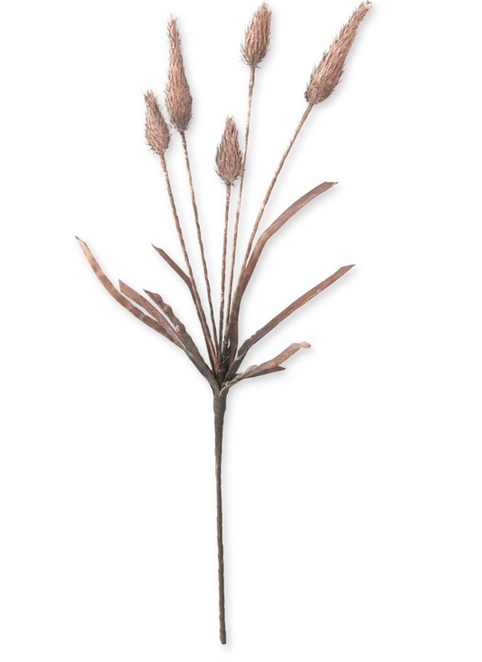 42.5" Brown Cone Thistle Eva Stem