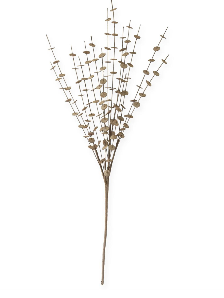 38" Brown Eva Button Spray