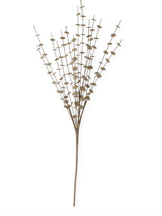 38" Brown Eva Button Spray