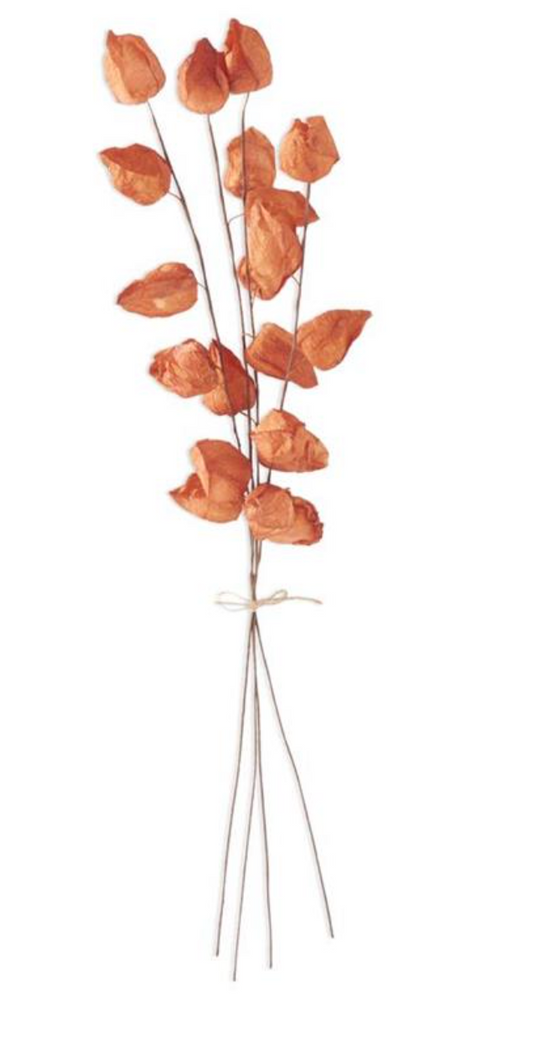 28.5 Inch Orange Chinese Lantern Bundle (4 stems)