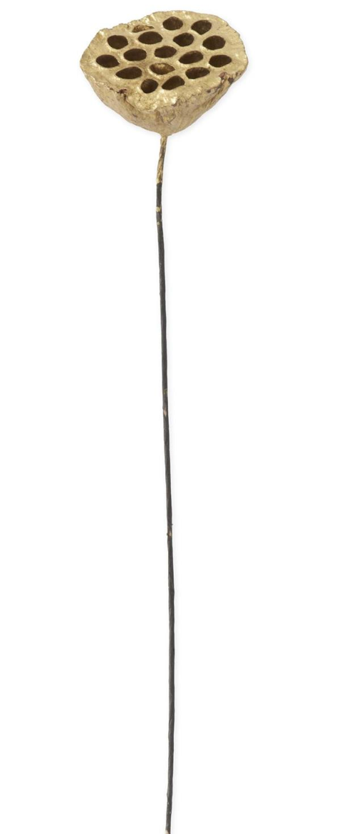 21 Inch Gold Lotus Seedpod
