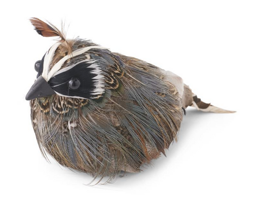 4 Inch Feathered Quail