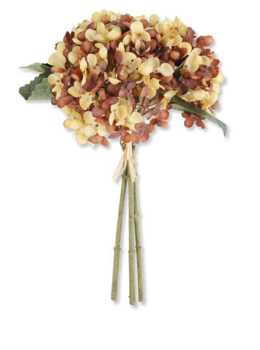 13 Inch Yellow & Brown Hydrangea Bundle (3 stems)