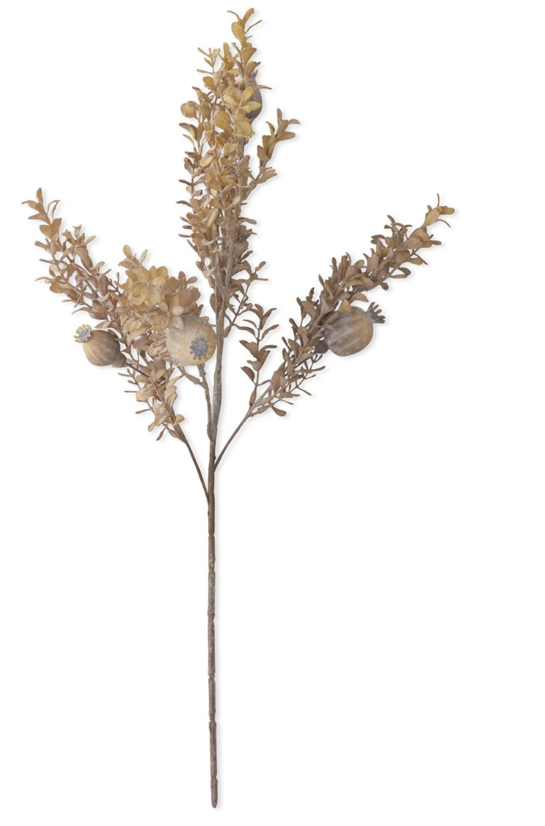 26 Inch Gray Poppy Pod w/Foliage Spray