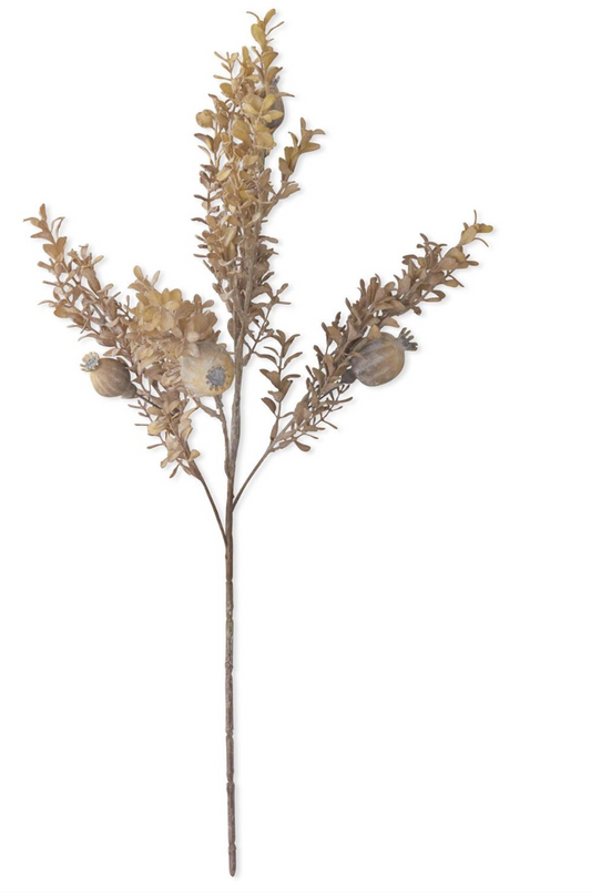 26 Inch Gray Poppy Pod w/Foliage Spray