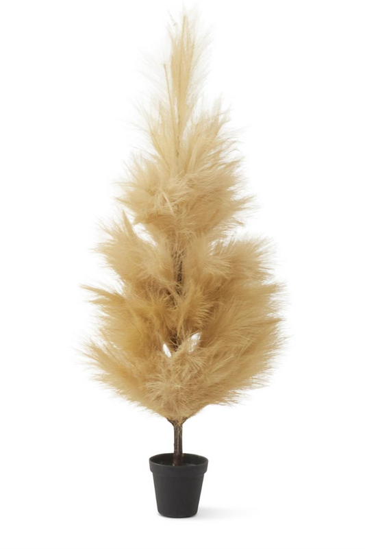 3 Foot Cream Pampas Grass Tree