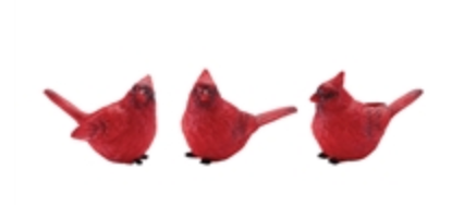 Cardinals (Assorted)
