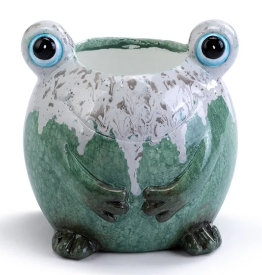 Big Eye Frog Planter