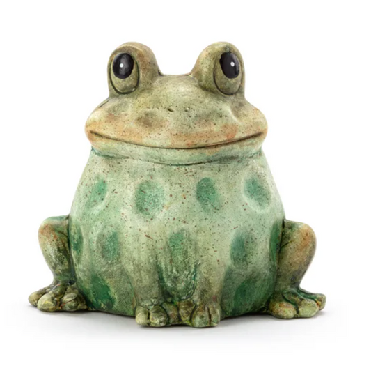 Small Happy Sitting Frog
