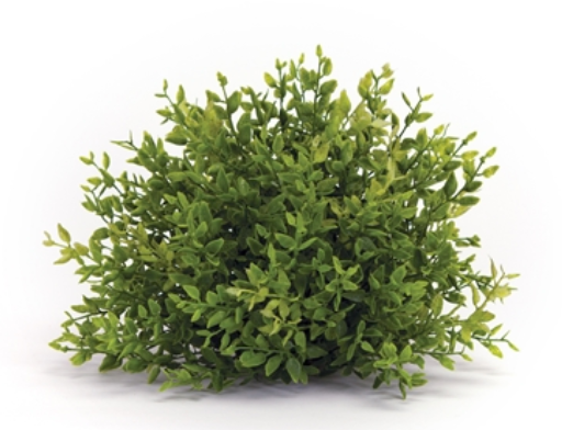 Mini Leaf Half Orb 7”D