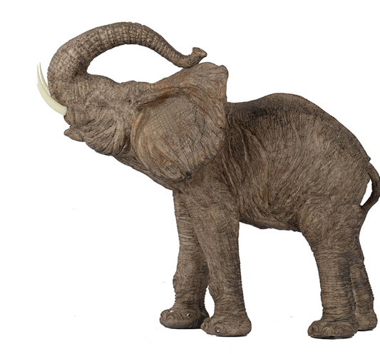 15x8x12" Tai Polyresin Elephant Accent,Trumpeting