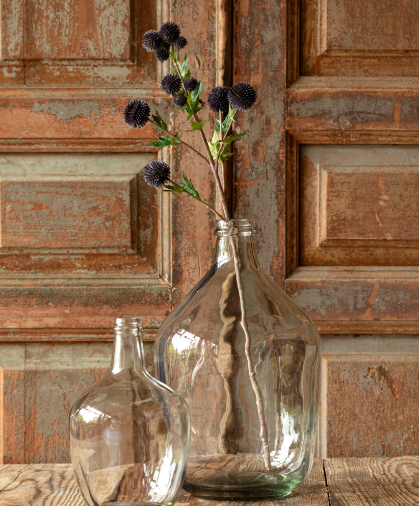 Blue Globe Thistle Stem