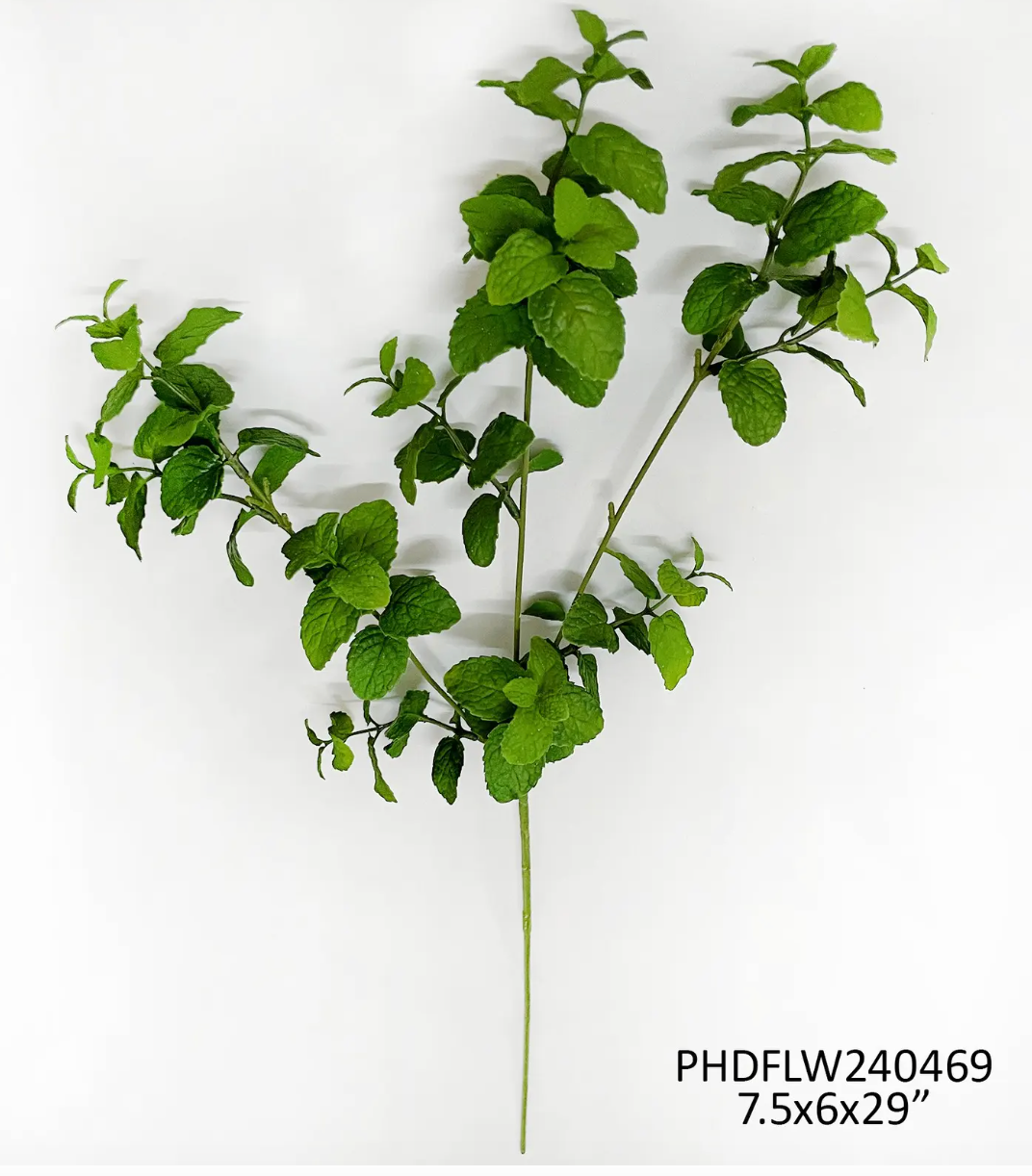 Garden Mint Stem