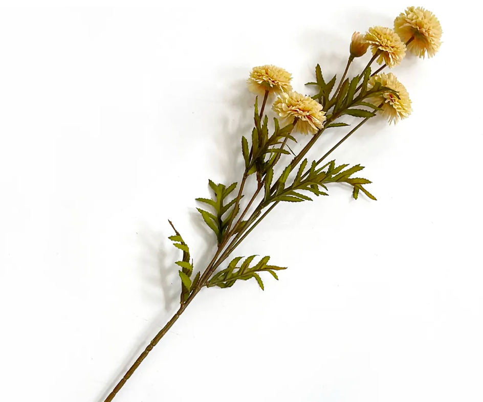 Aster White - 27"