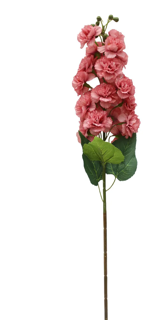 Cottage Hollyhock Coral