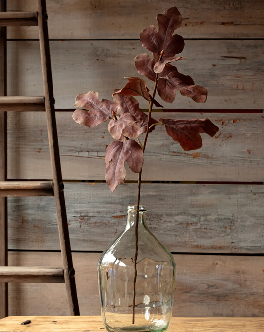 Autumn Fig Brown