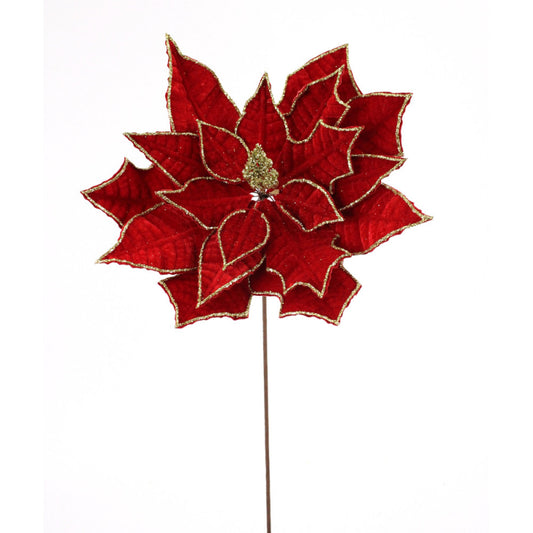 POINSETTIA STEM