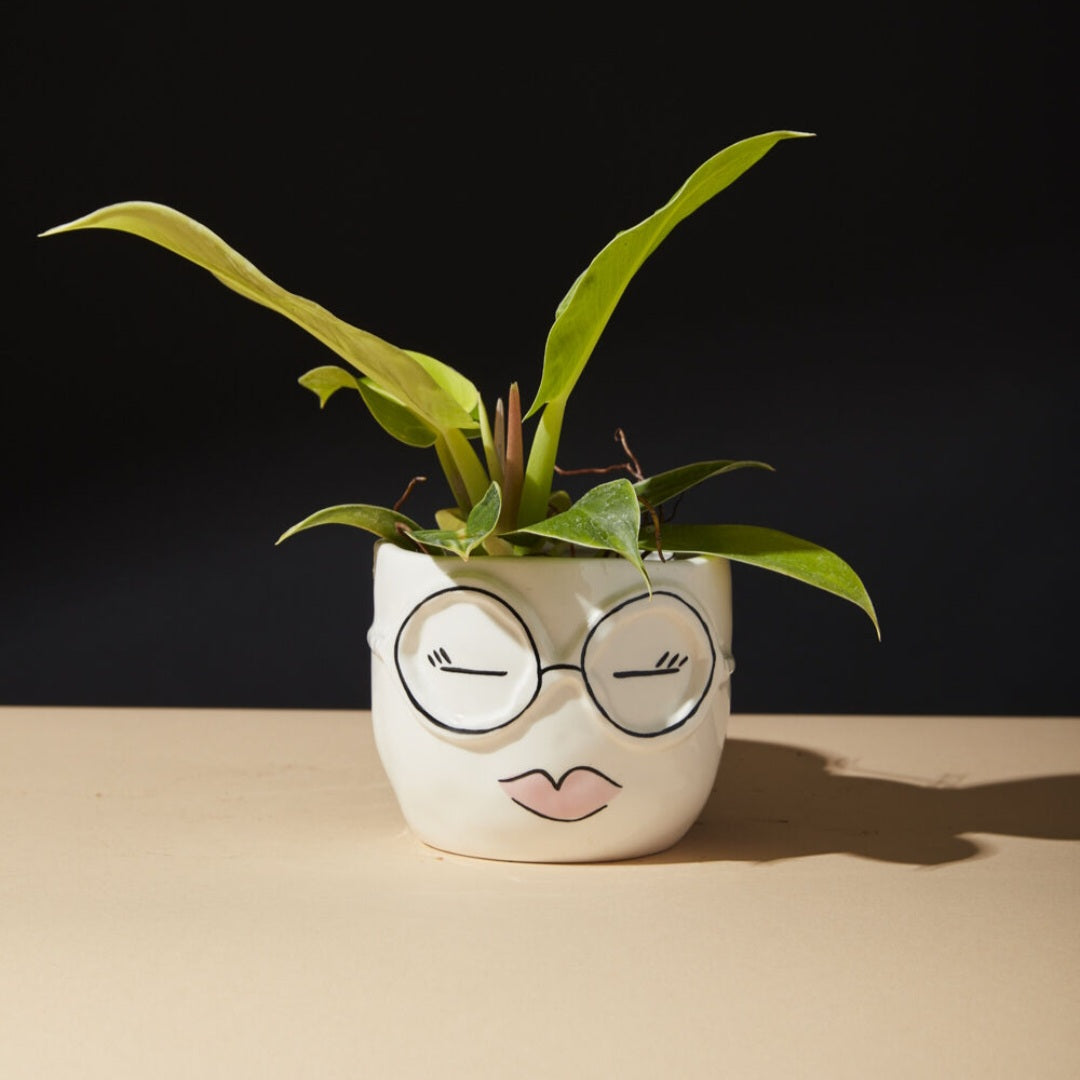 Fab Pot Grace